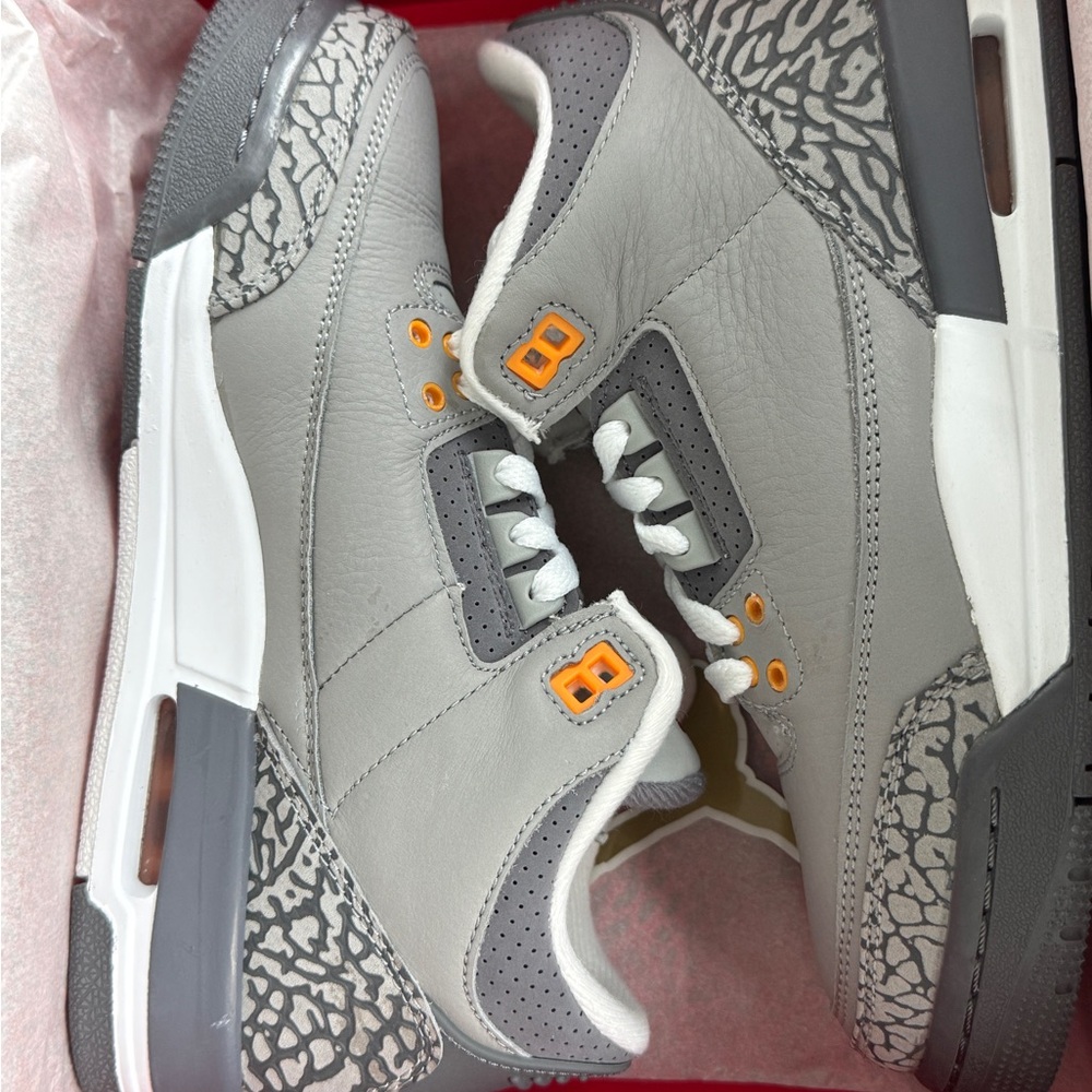 Air Jordan 3 Retro Cool Grey (2021)